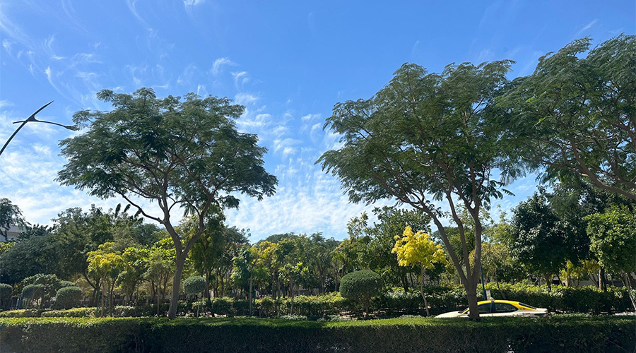 DUBAI, Dubai, ,Townhouse,For Sale,1084